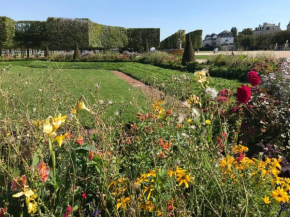 Studio indépendant Mignon